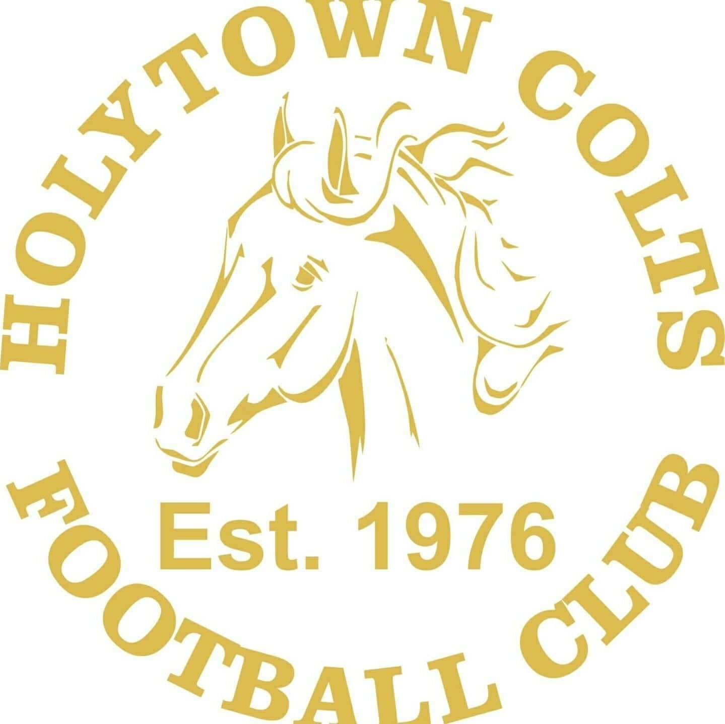 Holytown Colts logo